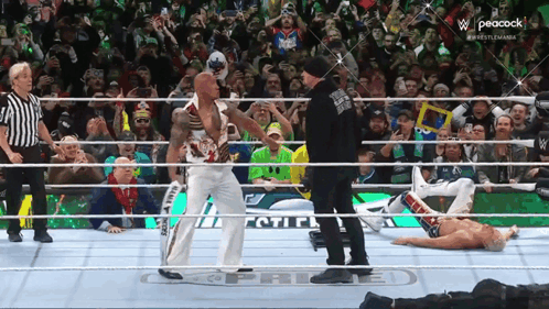 Undertaker Chokeslam The Rock On Wrestlemania 40 GIF