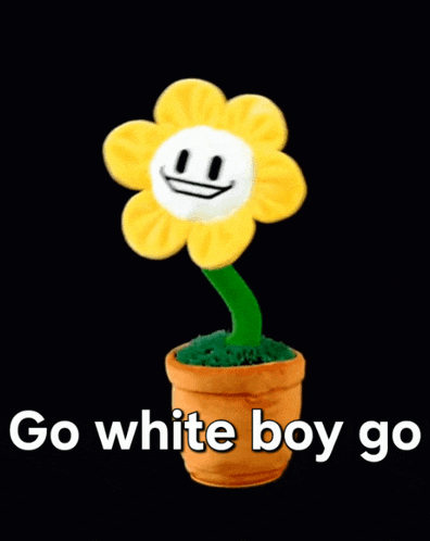 Undertale Flowey Gif GIF