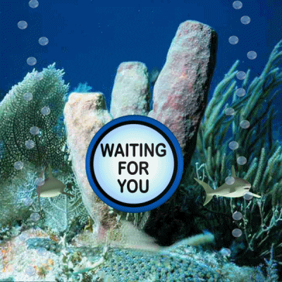 Underwater Waiting For You GIF