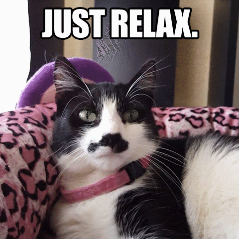 Unfazed Kitty Just Relax Funny Meme GIF