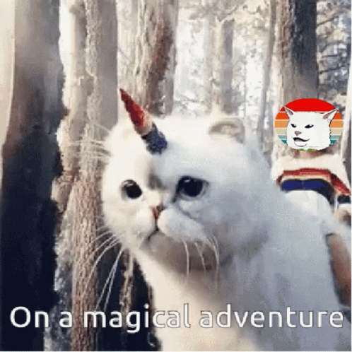 Unicorn Cat On A Magical Adventure GIF