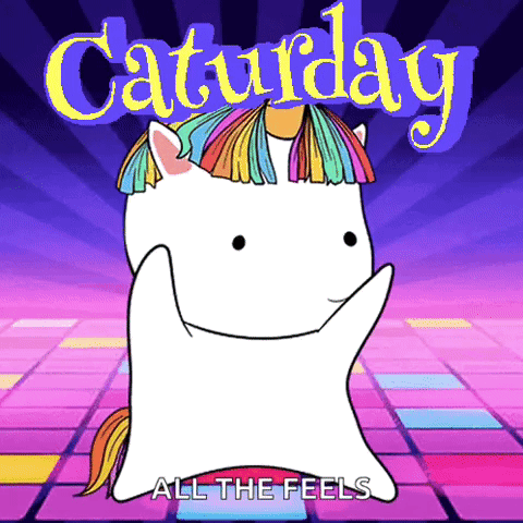 Unicorn Saturday All The Feels GIF