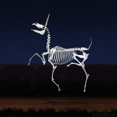 Unicorn Skeleton Running Happily GIF