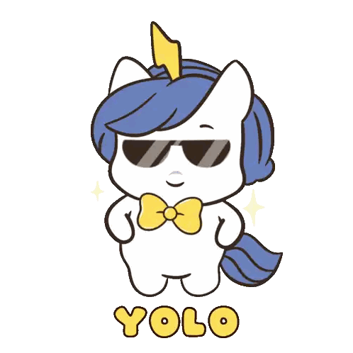Unicorn Wearing Sunglasses and Bow Tie Says Yolo