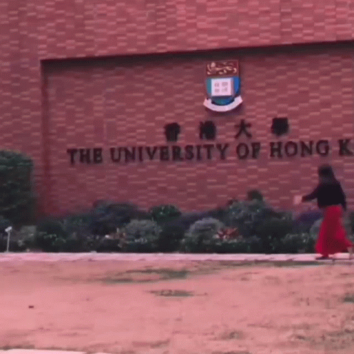 University Of Hong Kong Serrini GIF