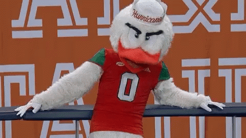 University Of Miami Sebastian The Ibis GIF