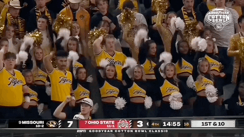 University Of Missouri Mizzou Cheering Squad GIF