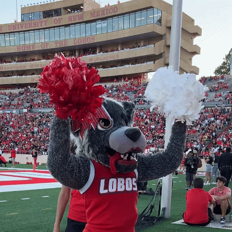 University of New Mexico Mascot Cheering