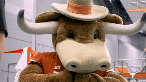 University Texas Mascot Longhorns GIF