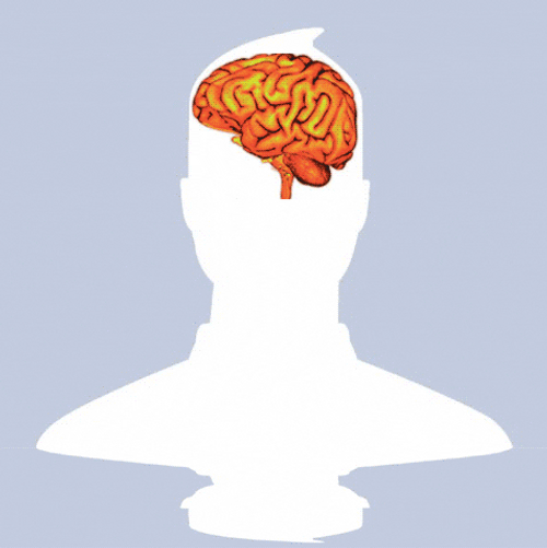 Unknown Dp Brain Display Profile Picture GIF