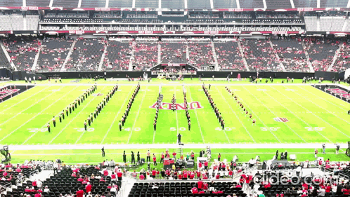 Unlv Crowd Field GIF