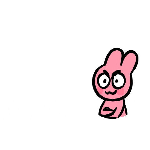 Uno Reverse Card Cat Surprise GIF