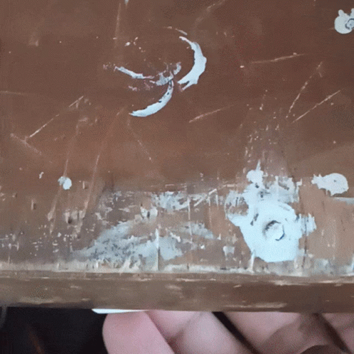 Uno Reverse Card Under The Table GIF