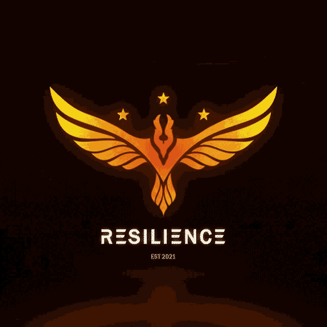 Unsc Resilience Logo Gif GIF