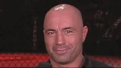Unsure Joe Rogan Curious GIF