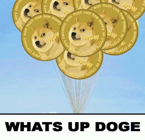 Up Whats Up Doge GIF