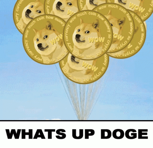 Up Whats Up Doge GIF