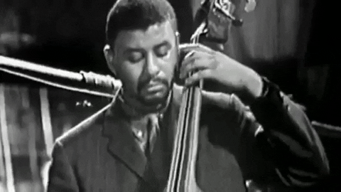 Upright Bass Man Side Eye Meme GIF