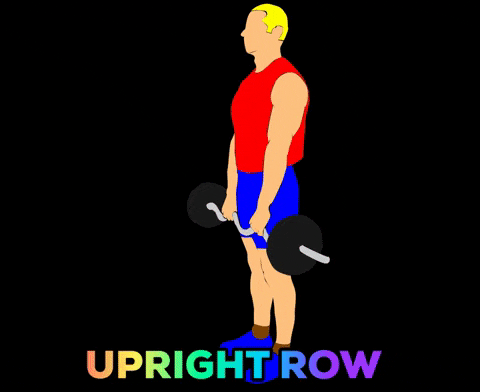 Upright Row Technique Of Lifting Barbell Row GIF