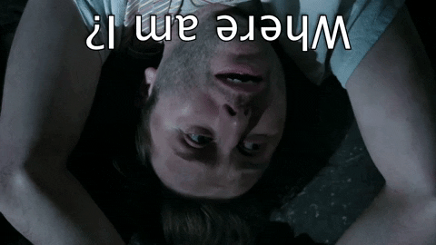Upside Down Lost Guy Where Am I GIF
