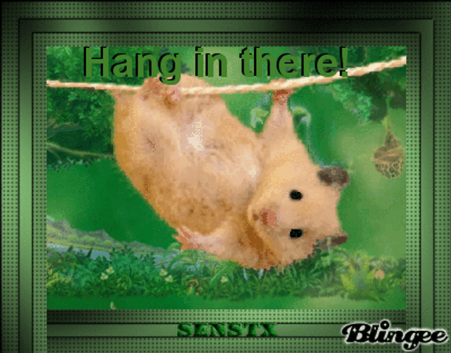 hang in there cute