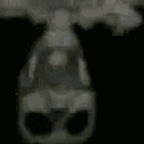 Upside Down Skeleton On Fan Meme GIF