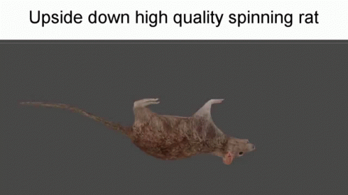 Upside Down Spinning Cartoon Rat GIF