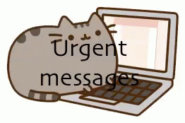 Urgent Messages Of A Cat GIF