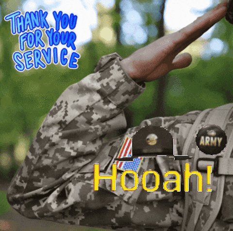 Us Army Gif GIF