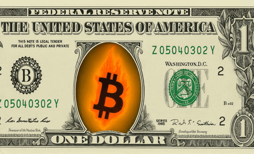 US One Dollar Bill GIF