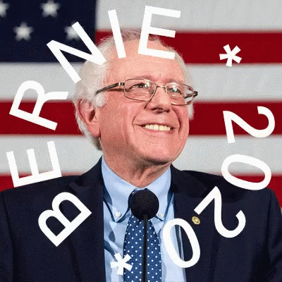 Us President Bernie Sanders GIF