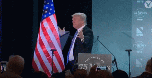 Usa Donald Trump Hugs The Flag GIF