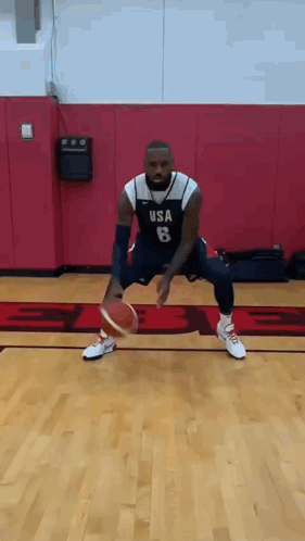 Usa Basketball Lebron James Dribbling GIF
