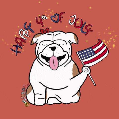 Usa Flag 4th Of July Dog GIF