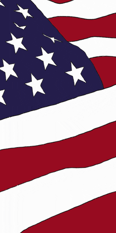 Usa Flag American Flag Stars GIF