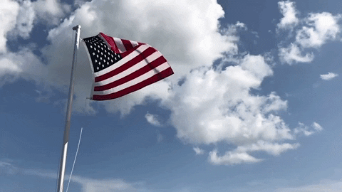 Usa Flag Best Collection GIF