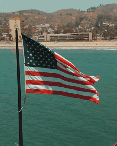 Usa Flag Droning American GIF