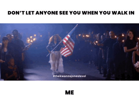 Usa Flag Meme Reaction GIF