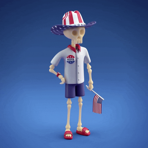 Usa Flag Skeleton Costume GIF