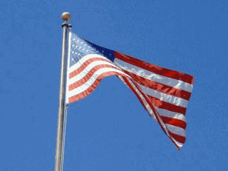 Usa Flag Veterans Day GIF