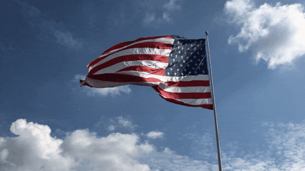 Usa Flag Waving Left Side GIF