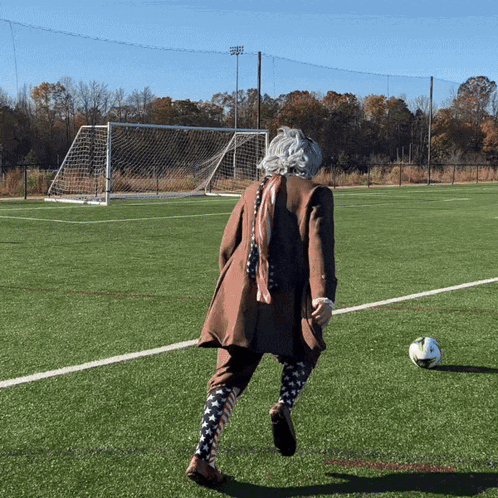 Usa Soccer Strong Kick Goal GIF