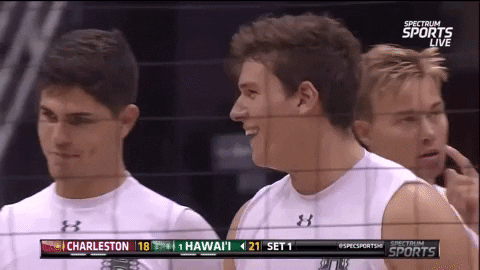 Usa Volleyball Charleston Athletics Smile GIF