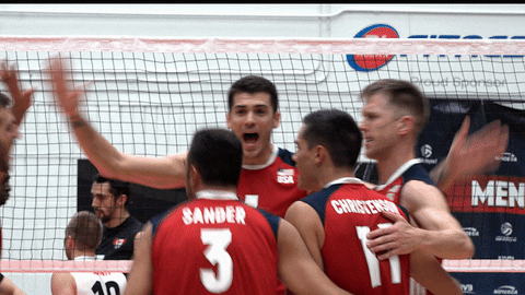 Usa Volleyball Group Hug GIF