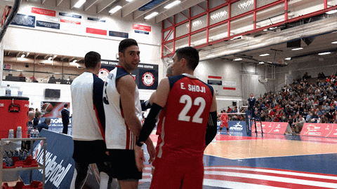 Usa Volleyball Wave To Camera And Wiggle GIF