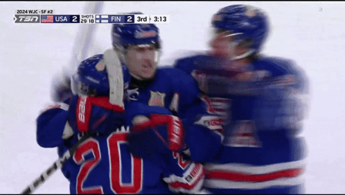 USA vs Finland Hockey Game