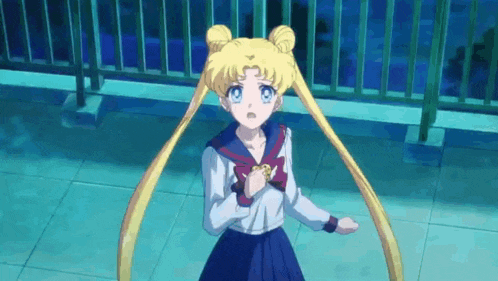 Usagi Seiya Gif GIF