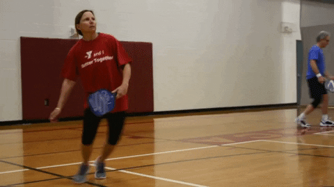 Using The Best Pickleball Paddle Meme GIF