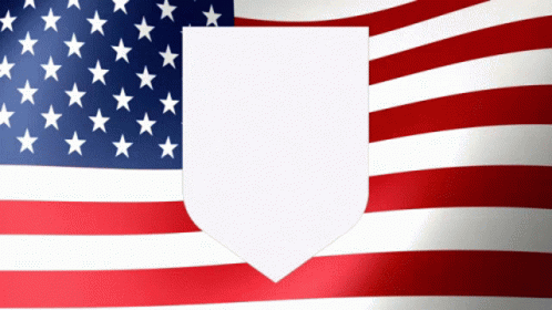 Usmnt Logo And The American Flag GIF