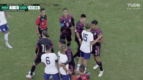 Usmnt Players And Mexico Team Players Fighting GIF
